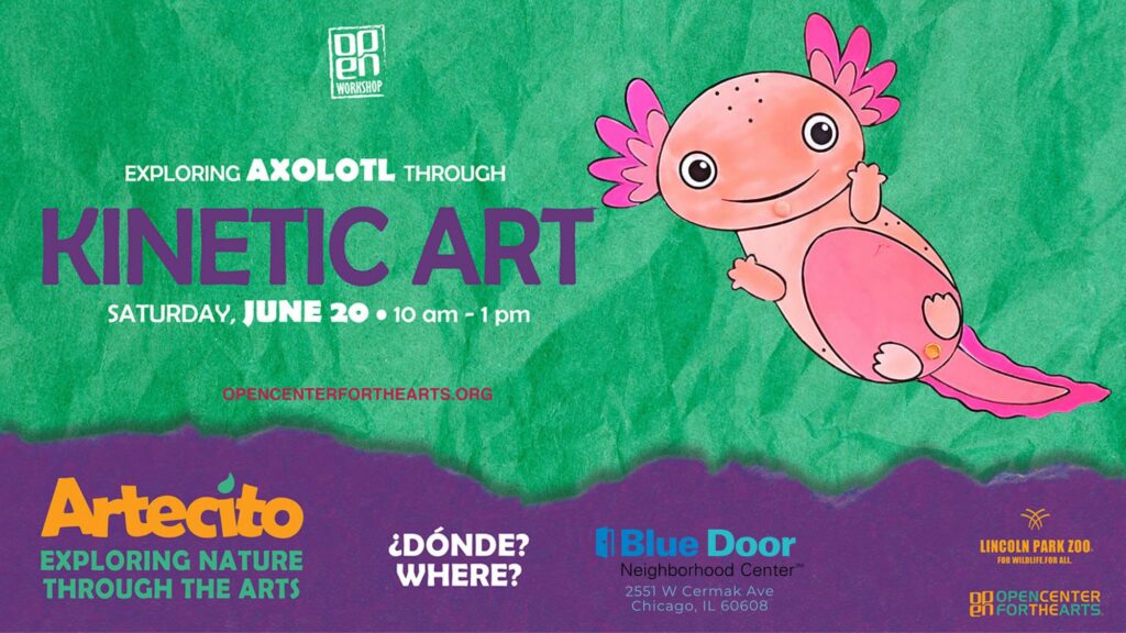Artecito flyer featuring a pink axolotl on a green background. Bilingual workshop about axolotls and kinetic art, Saturday, June 20 from 10 am to 1 pm at a location to be determined, in collaboration with Lincoln Park Zoo and OPEN Center for the Arts.