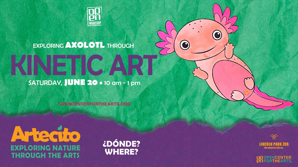Artecito flyer featuring a pink axolotl on a green background. Bilingual workshop about axolotls and kinetic art, Saturday, June 20 from 10 am to 1 pm at a location to be determined, in collaboration with Lincoln Park Zoo and OPEN Center for the Arts.
